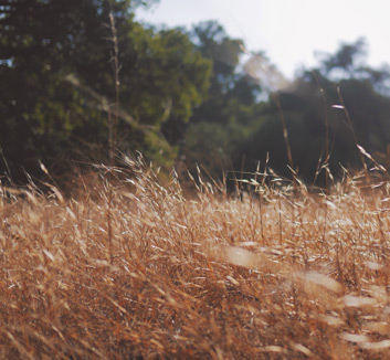 曼城客场惜败南安普顿，遭遇连败